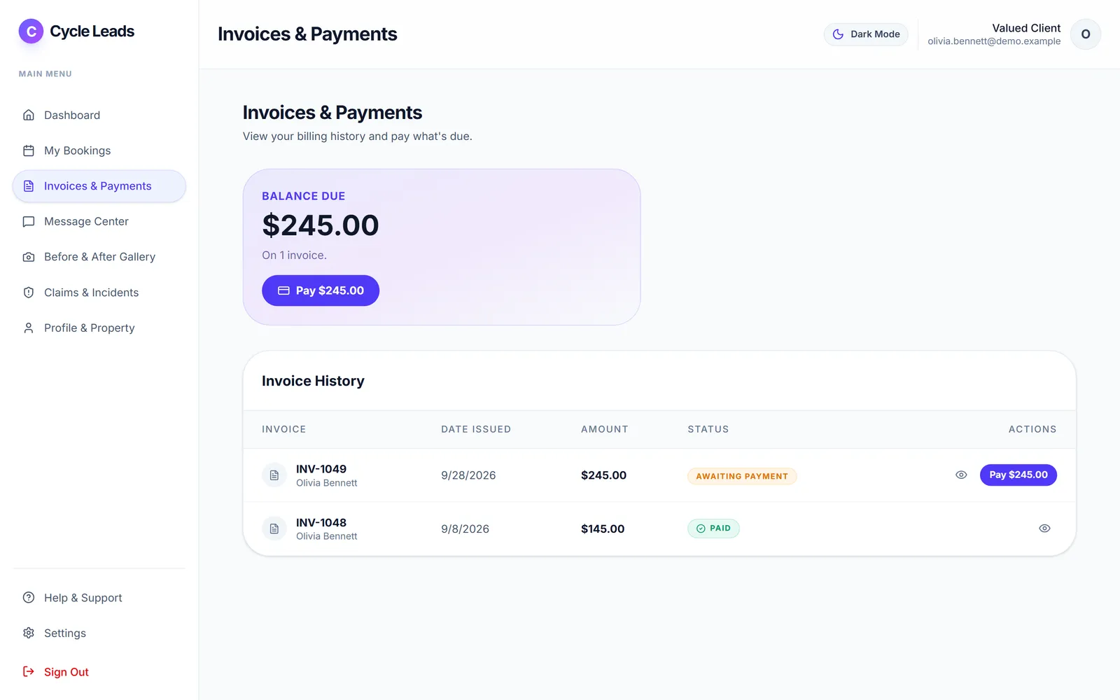 Client Portal: invoices & payments